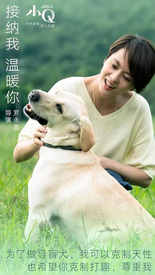 作假名城大学毕业证